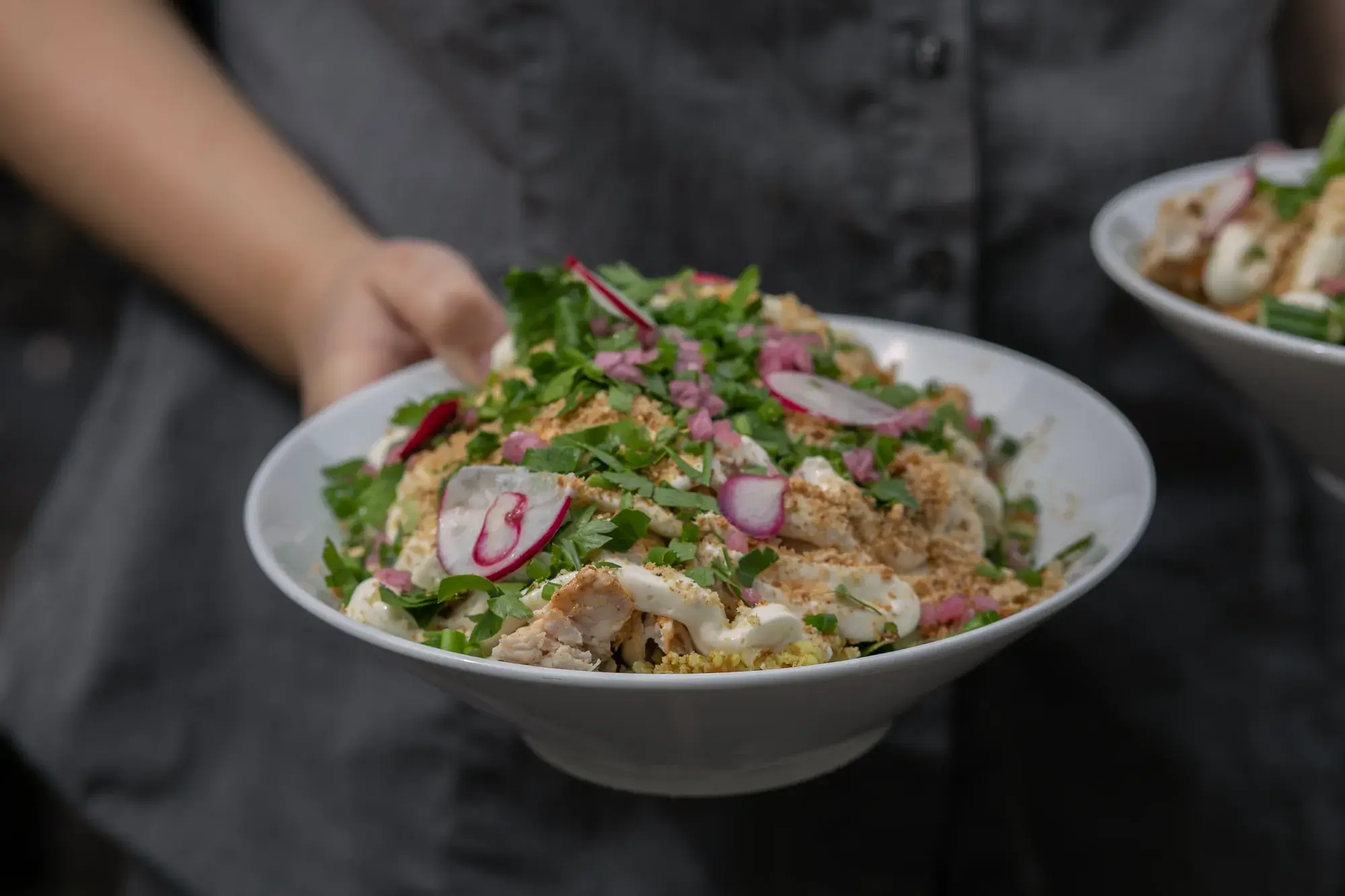 A salad with leafy greens and radishes served in a bowl