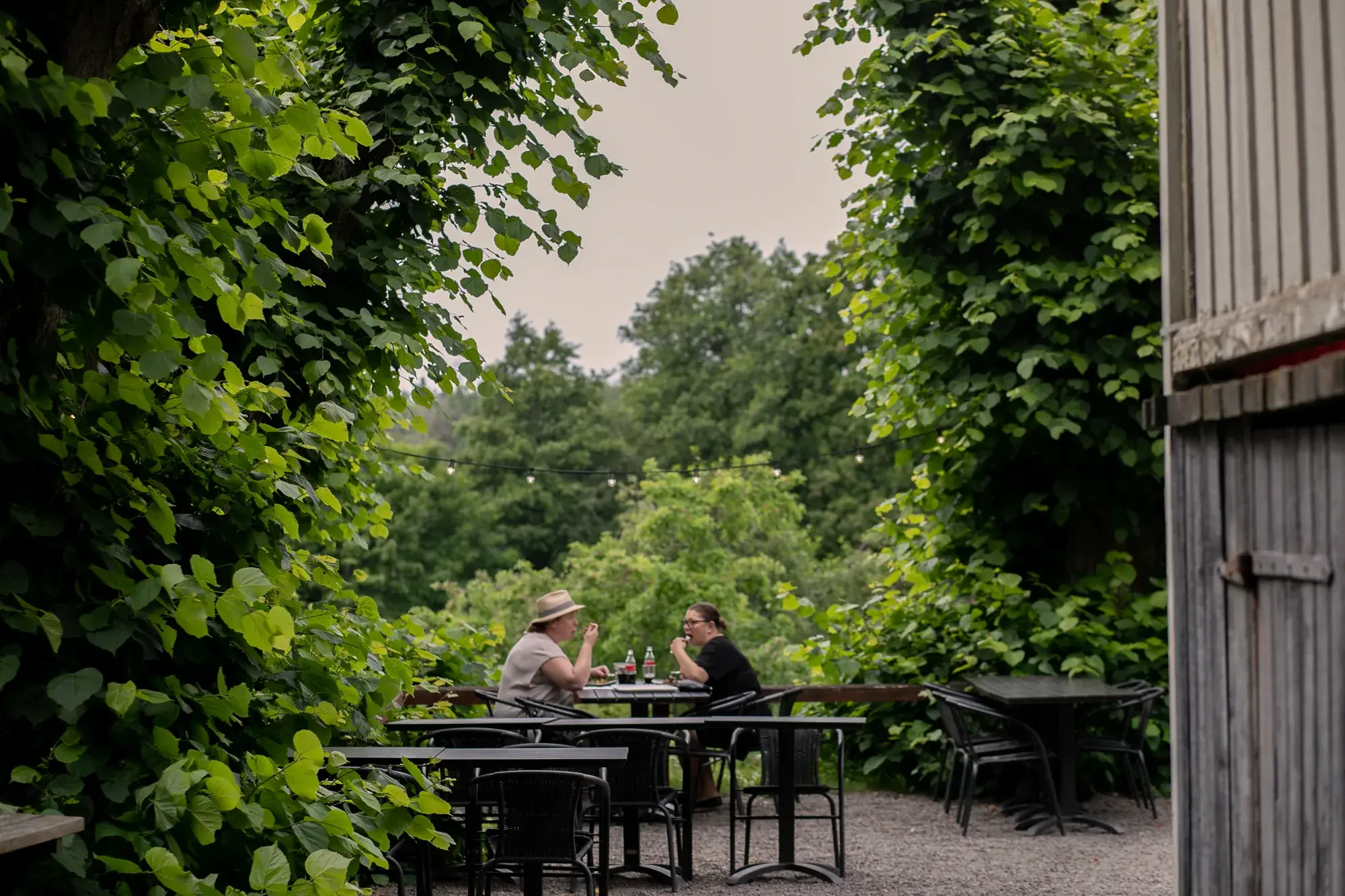 Guests at an outdoor table surrounded by trees