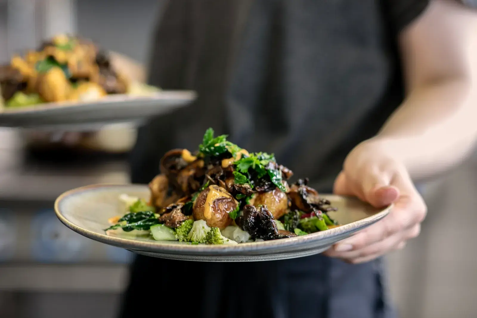 A hot lunch dish with vegetables served on a plate