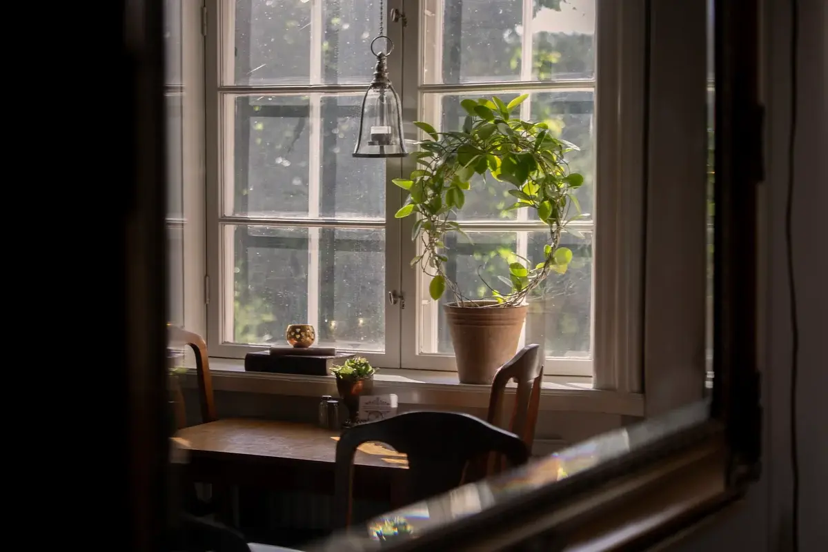 A table by the window with plants at the restaurant